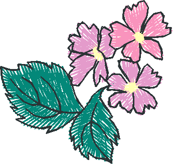 Pink Wild Rose Trio