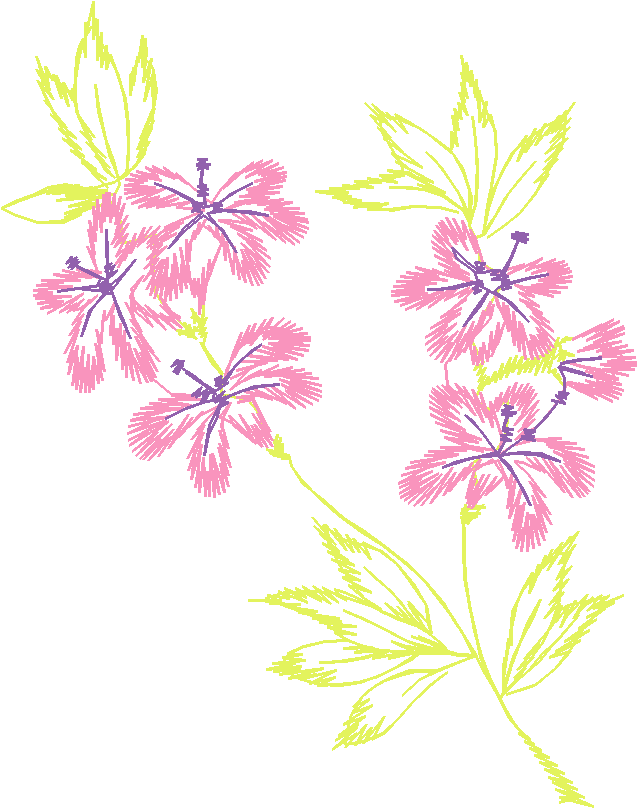 Pink Yellow Iris Spray