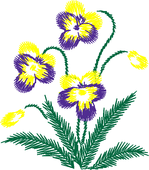 Purple and Yellow Pansy Clump