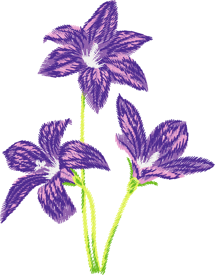 Purple Royal Bluebell Stems