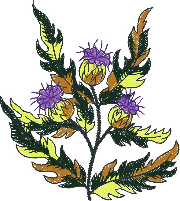 Purple Thistle Spray