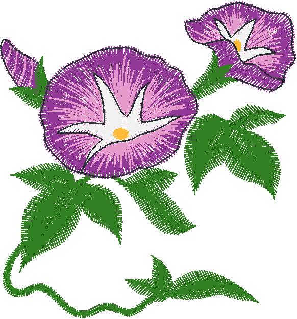 Purple Violet Blooms