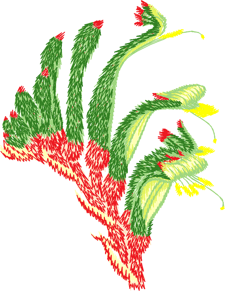Red and Green Kangaroo Paw