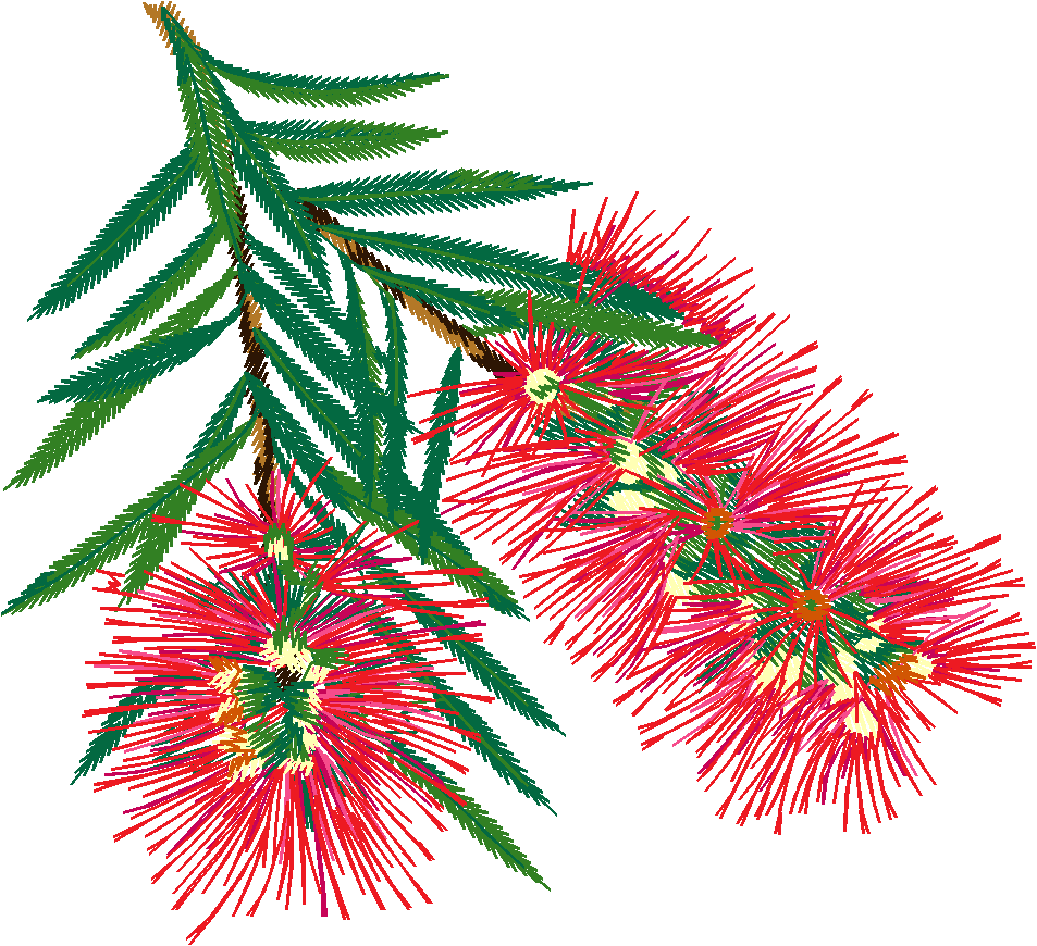 Red Bottlebrush Branch