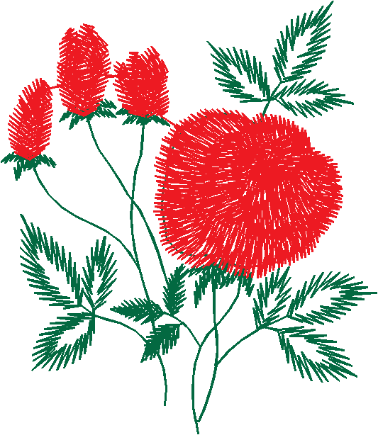 Red Carnation Bouquet