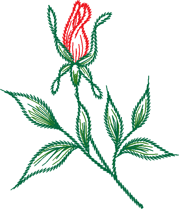 Red Tulip Bouquet