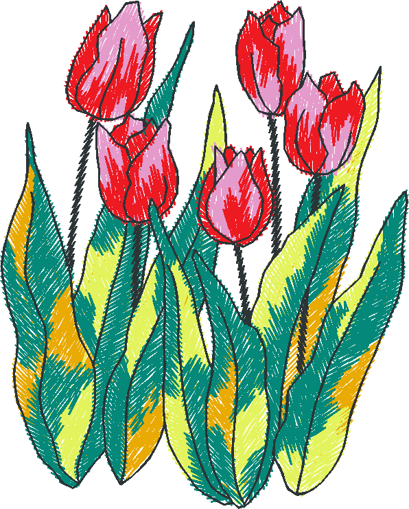 Red Tulip Cluster