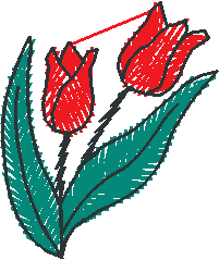 Red Tulip Pair