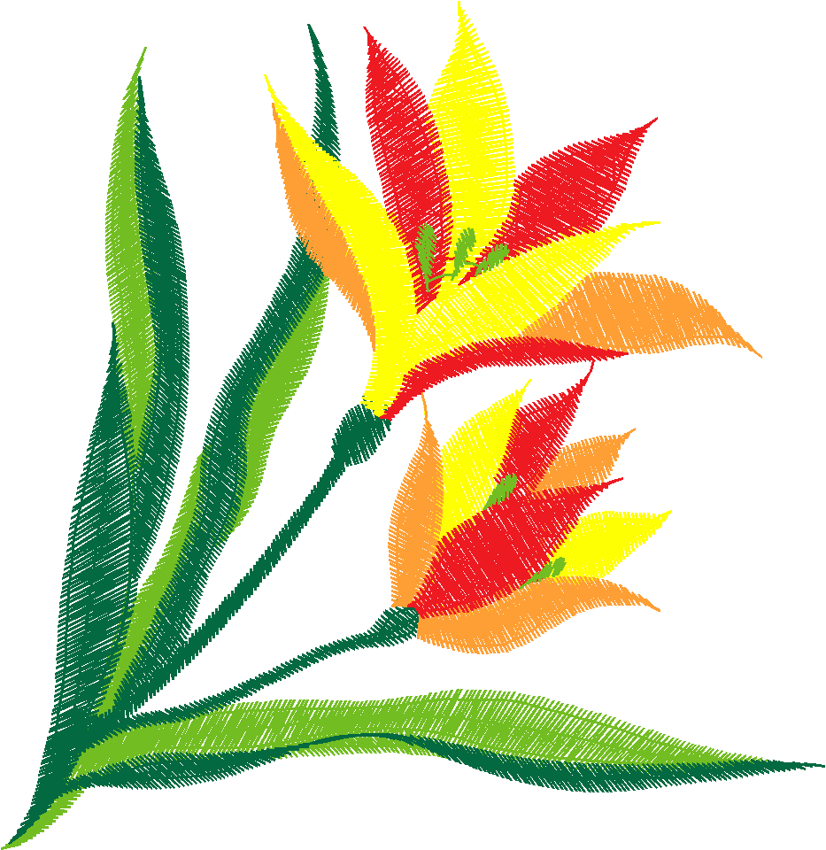 Red Yellow Tulip Spray