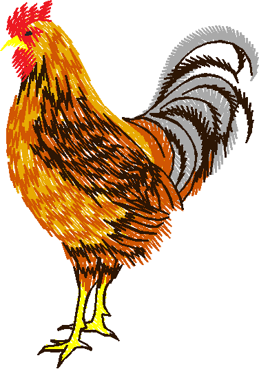 Rooster