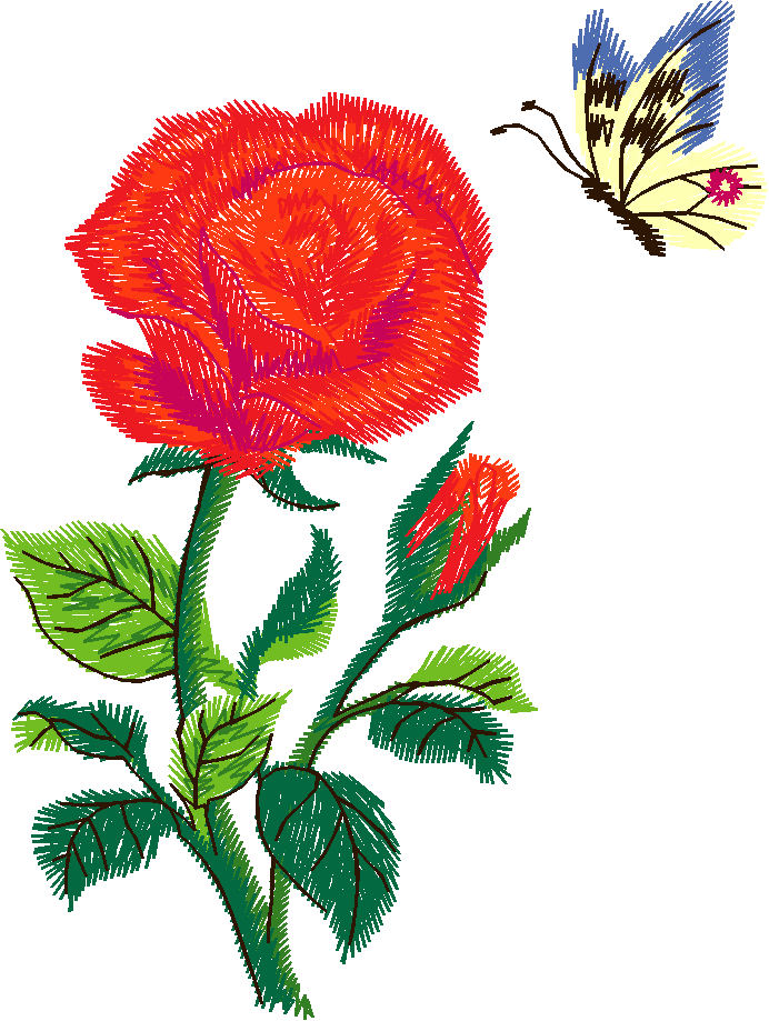 Rose with Butterfly