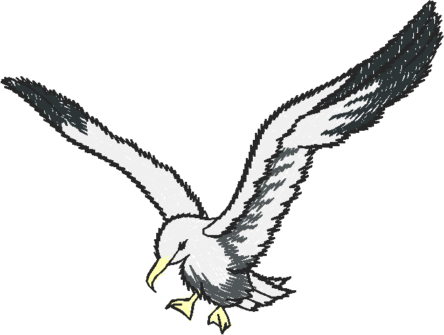 Seagull