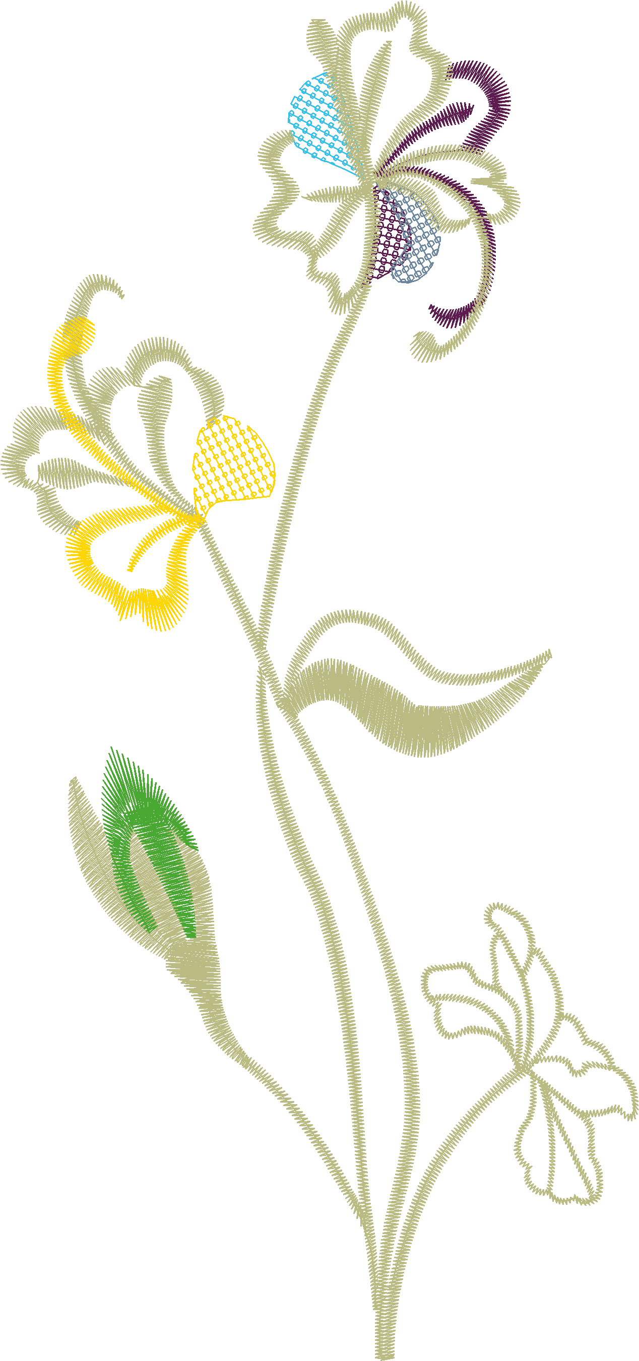 Slender Floral Stem Border