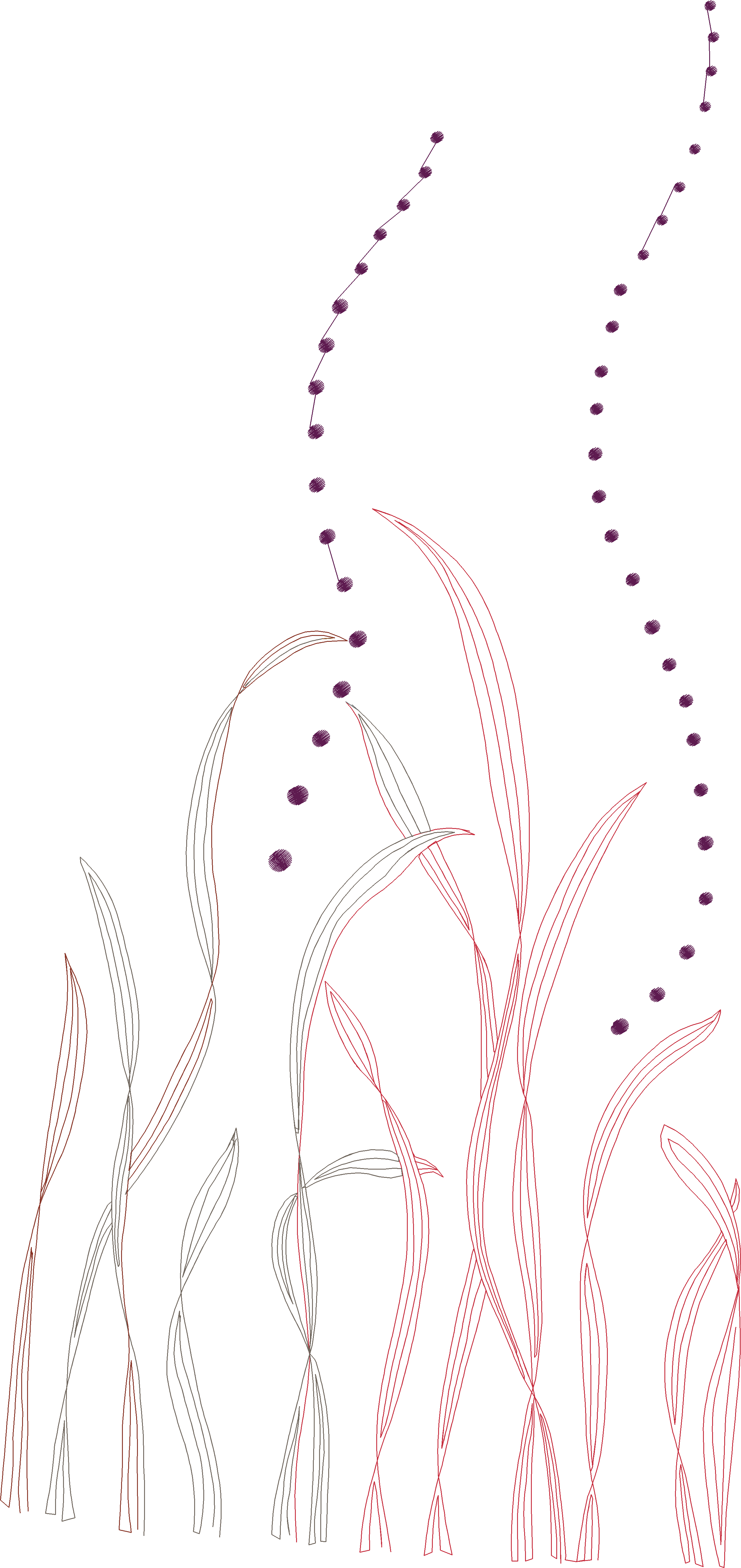 Slender Grass Sprigs
