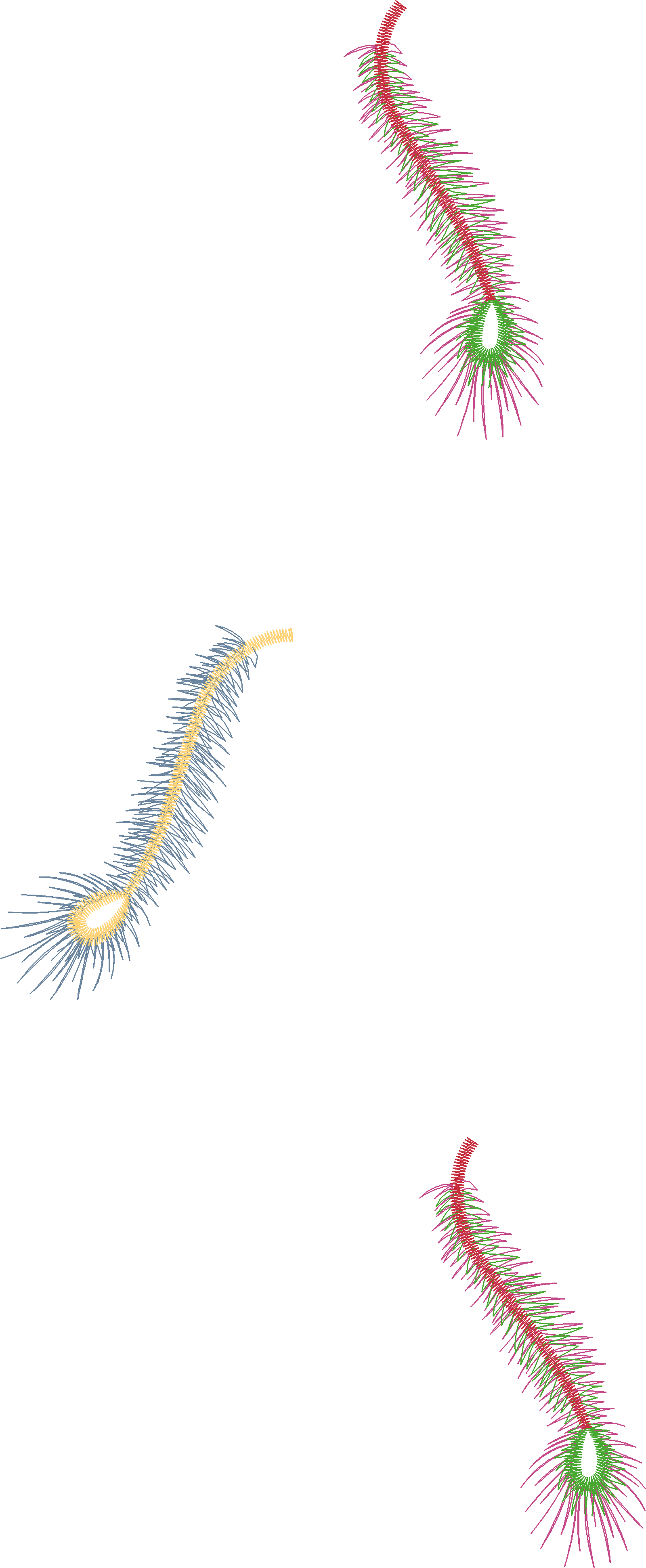 Slug Trail Motif