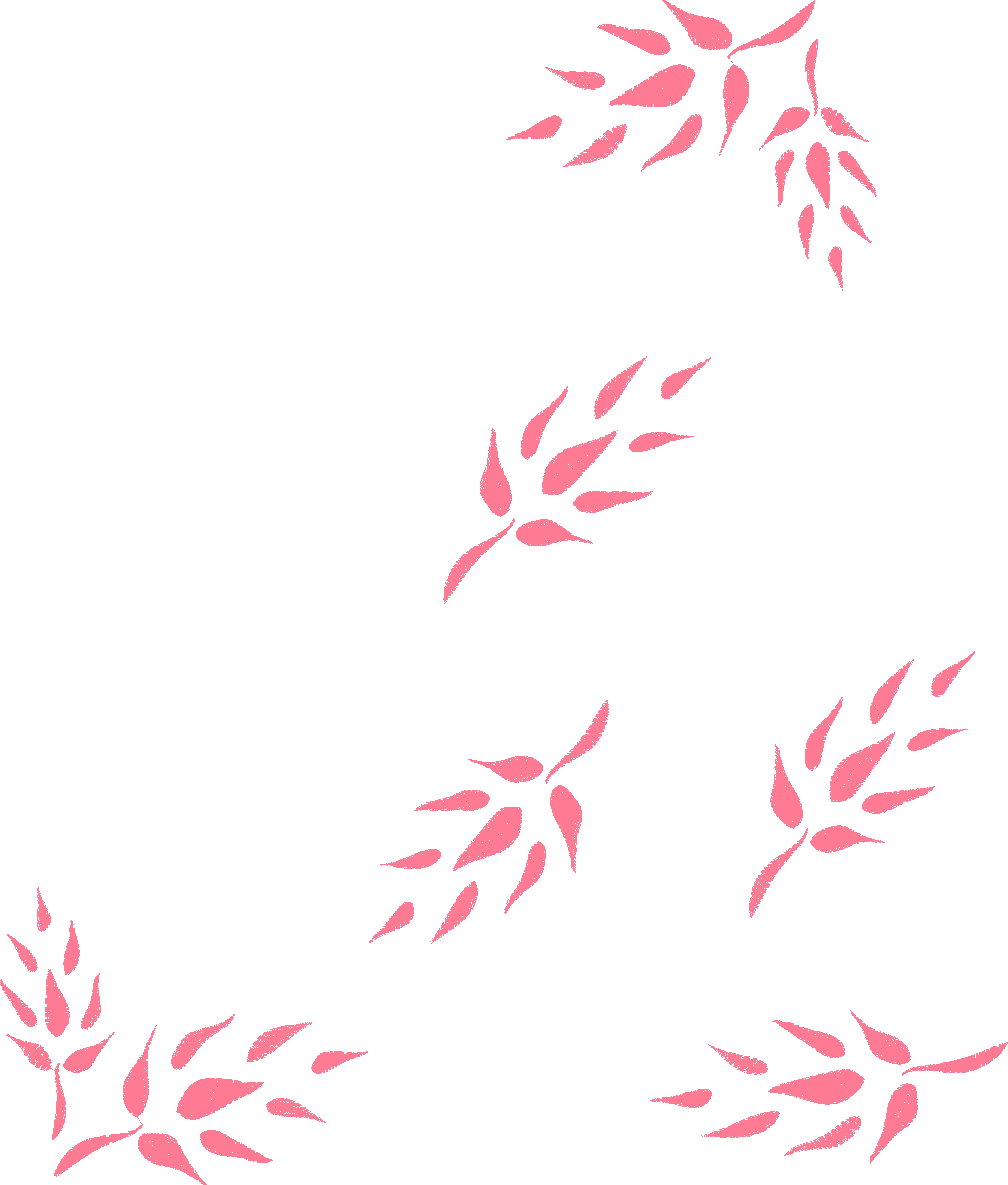 Small Leaf Sprigs
