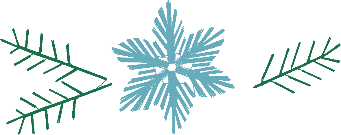 Snowflake Floral Border