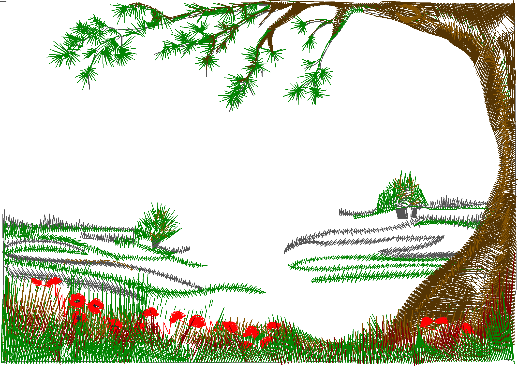 Summer Forest Landscape