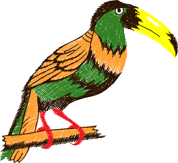 Toucan