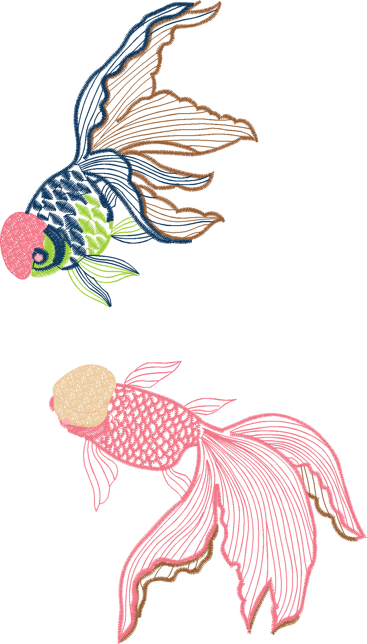 Tropical Fish Pair