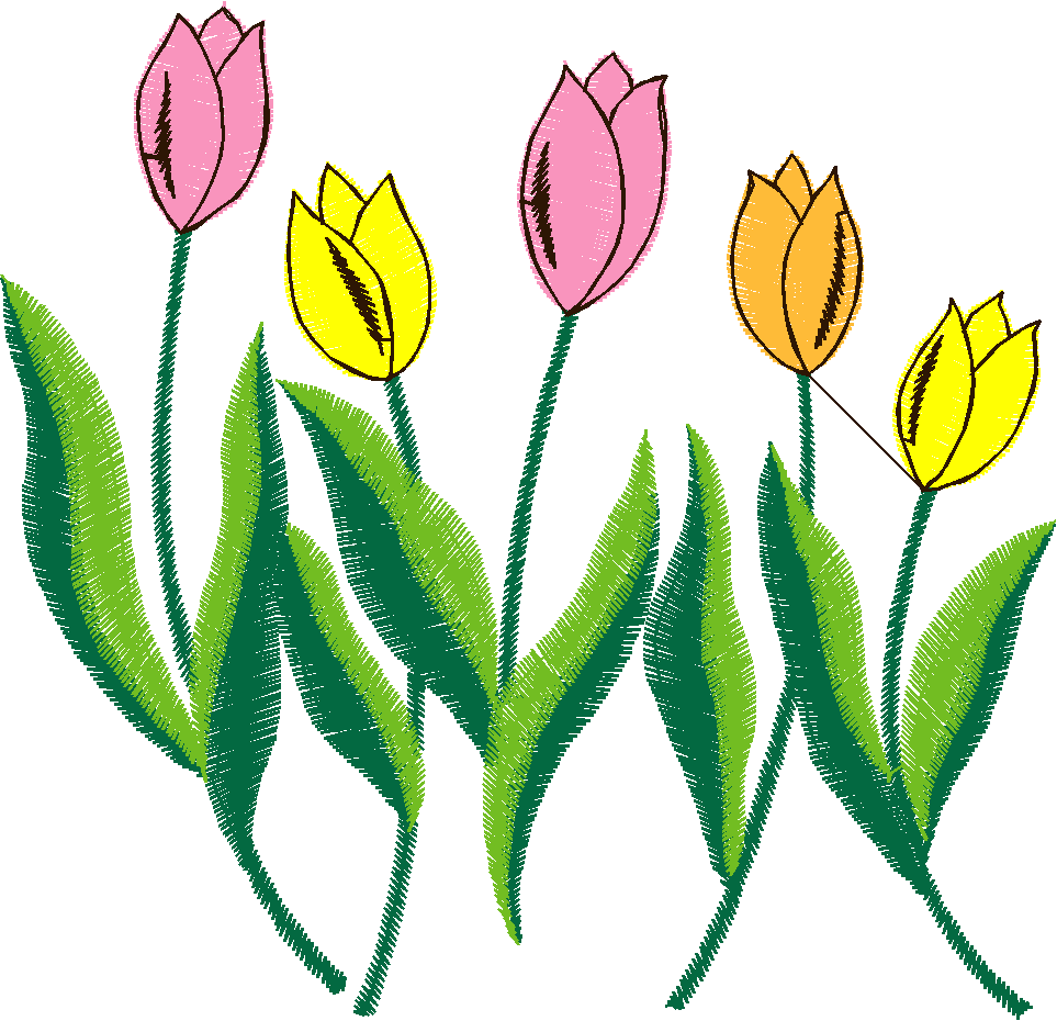 Tulip Row Garden