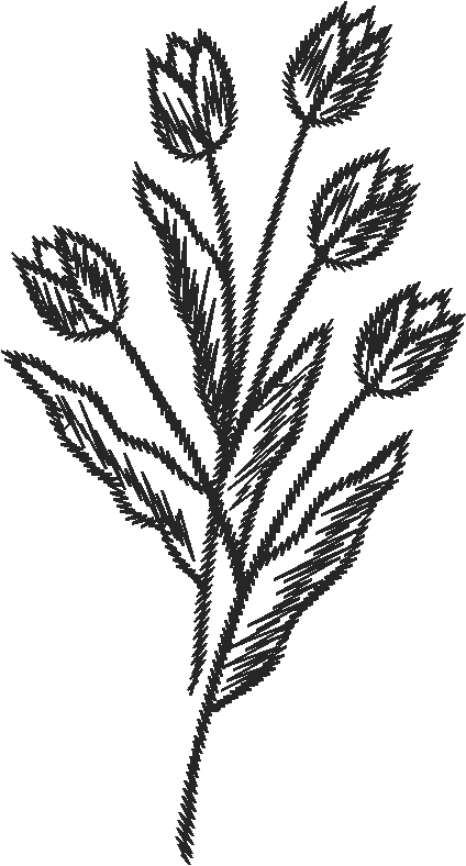 Tulip Stem Lace Applique