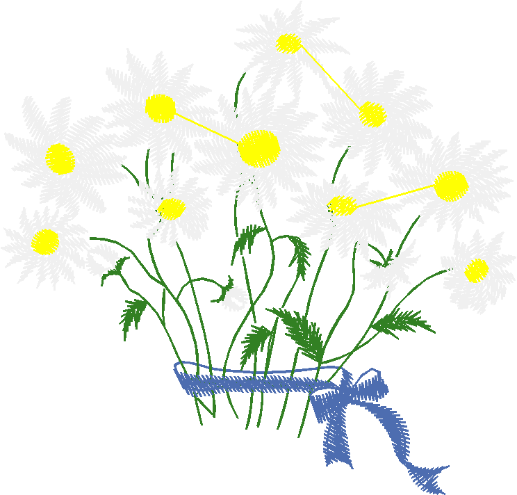White Daisy Basket with Ribbon