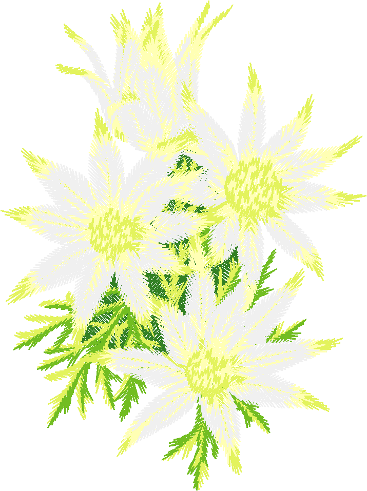 White Flannel Flower Cluster