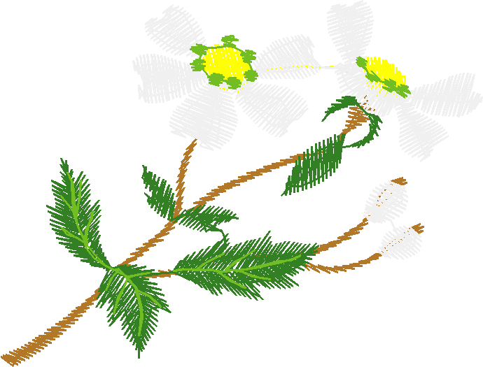 White Yellow Floral Motif