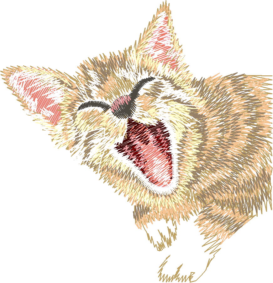 Yawning Cat