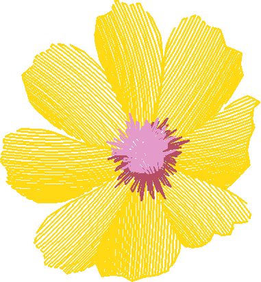 Yellow Flower