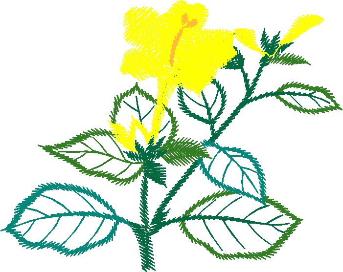 Yellow Rose with Cyan Details