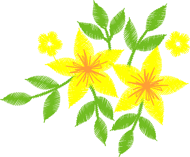 Yellow Star Flowers with Green Leaves