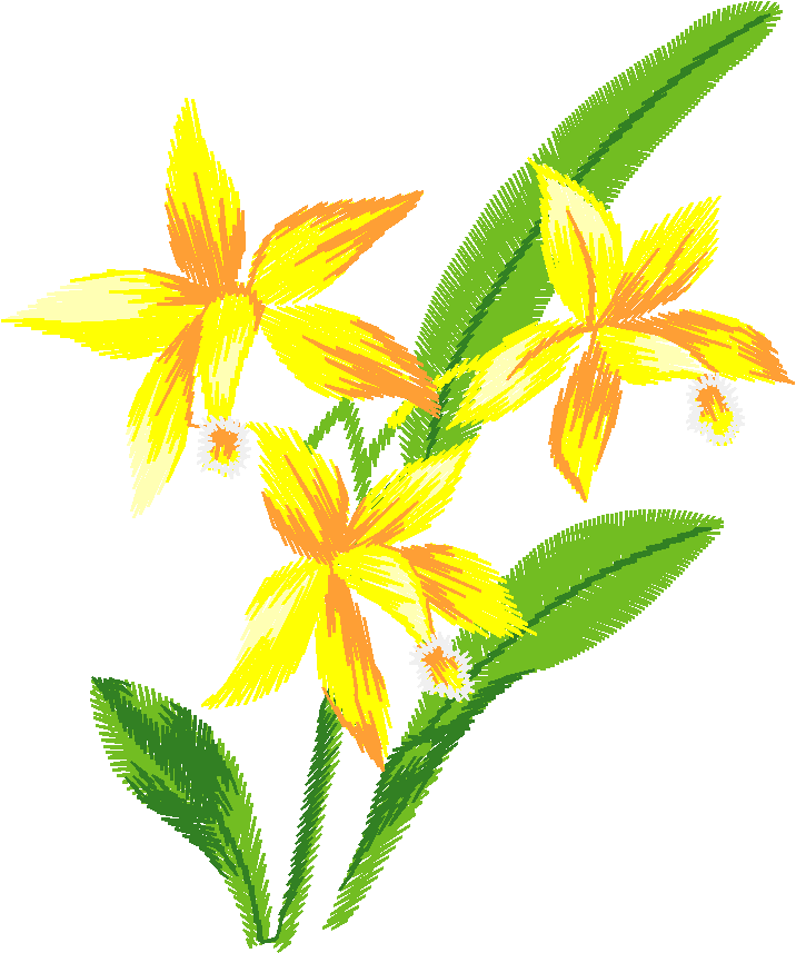 Yellow Star Flowers