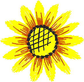 Yellow Sunflower Bloom