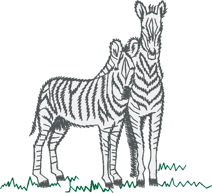 Zebras